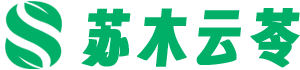 首页